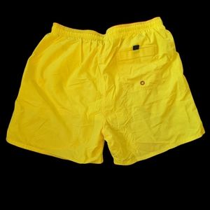 IZOD performance X men's swimwear